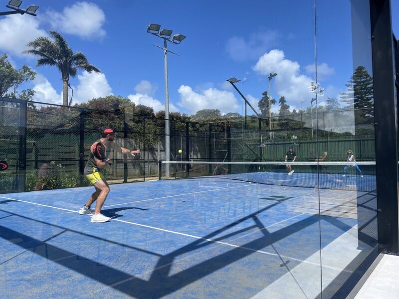 Auckland courts
